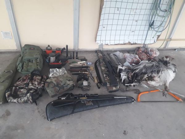 Cazaban ilegalmente en un campo de Quehué. Quisieron detenerlos y se escaparon  